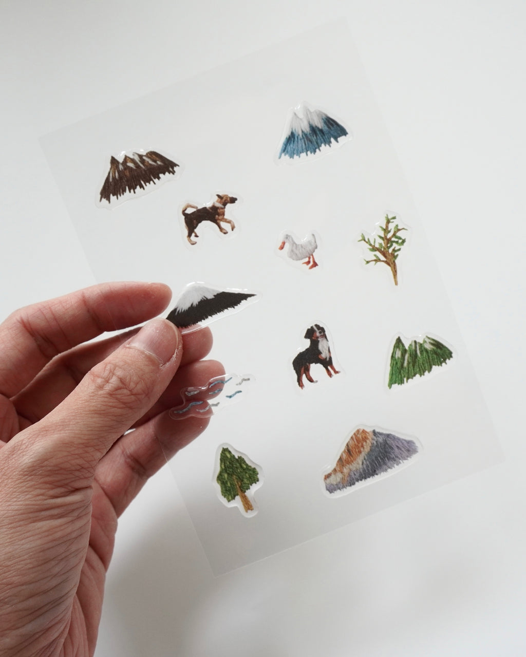 Sticker - Nature Collection